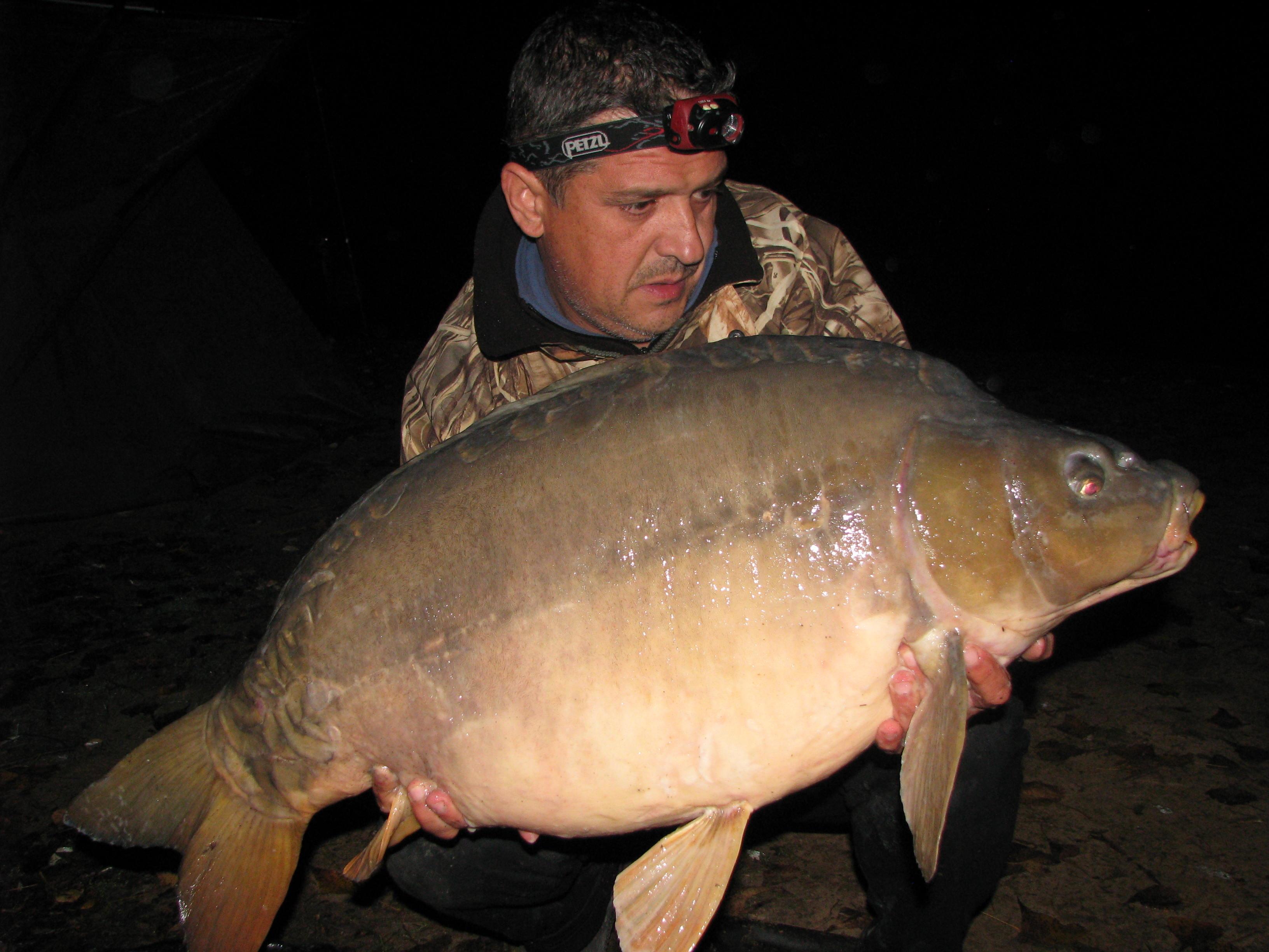 septembrie - octombrie 2012 - 17,5 kg